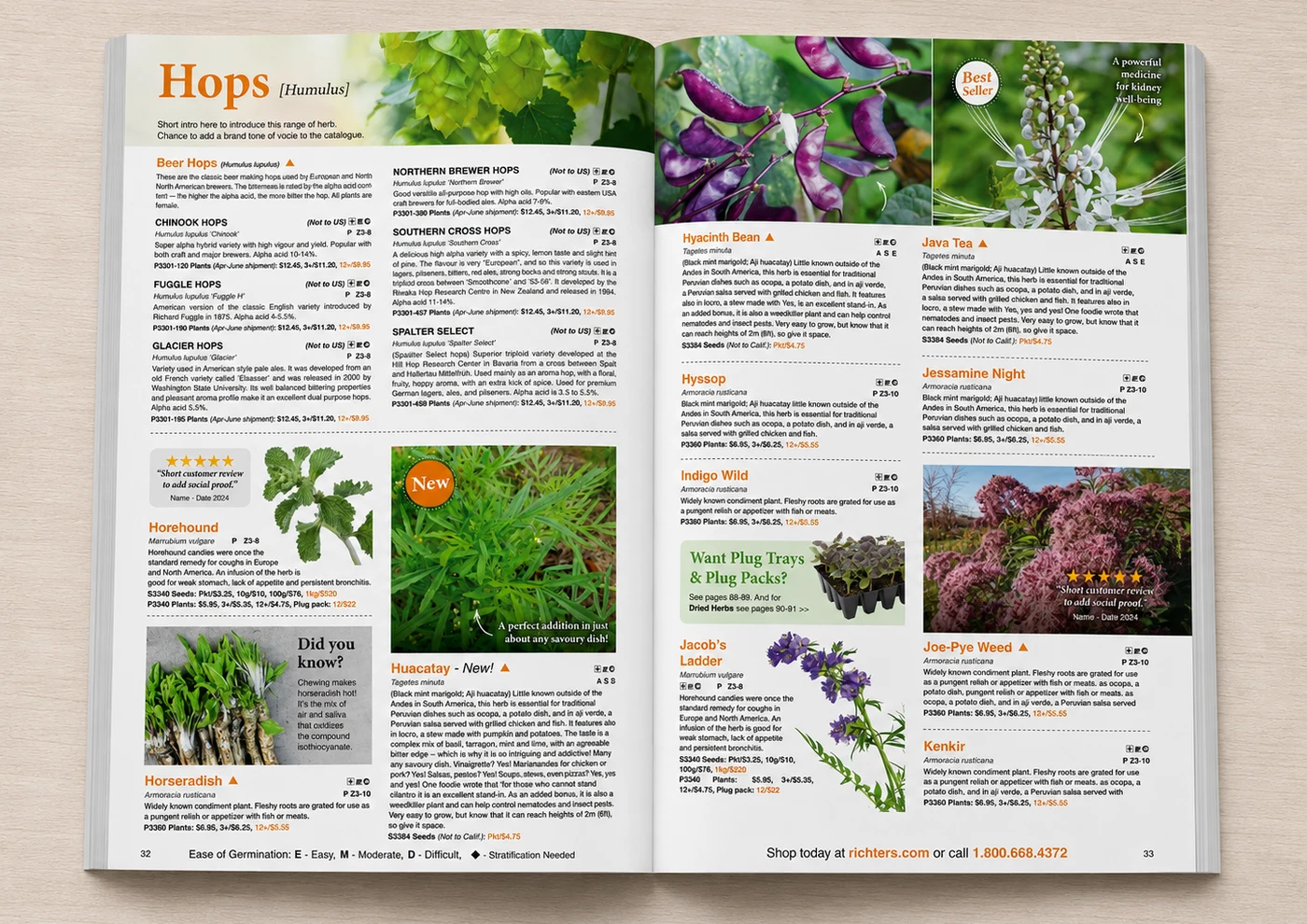 Redesigned Richters spread with colourful section headers, review callouts, badges and a cross-sell box